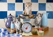 KATZEN IN DER KÜCHE * CATS IN THE KITCHEN - Schmidt Puzzle 58370 - 500 Pcs.