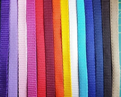 HANDMADE Dog Show Slip Lead Agility Training Gundog Crufts Strong 13mm webbing