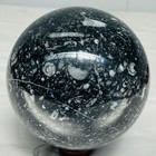 Natural Insectconch fossil crystal Ball Quartz Crystal Sphere Reiki Healing2340G — photo 9