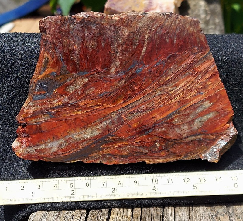 Superb RED Binghamite Slab.