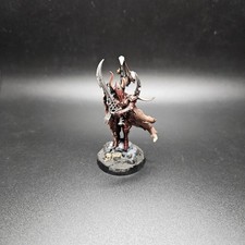 Parade Ready Well Painted And Based  Drukhari...