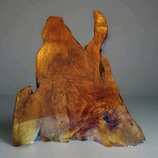 Tree Burl Live Edge Slab 16" X 16" Wall Plaque Art Woodburn Native American