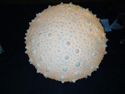 12 Inch Resin LED Sea Urchin Accent Lamp Sea Table Light Nautical Home Décor