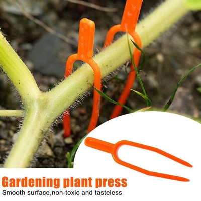 Garden Plant Fixing Fork Climbing Support Clips Strawberry Watermelon W4G5
