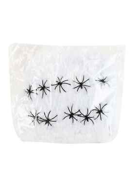 White Spider Web