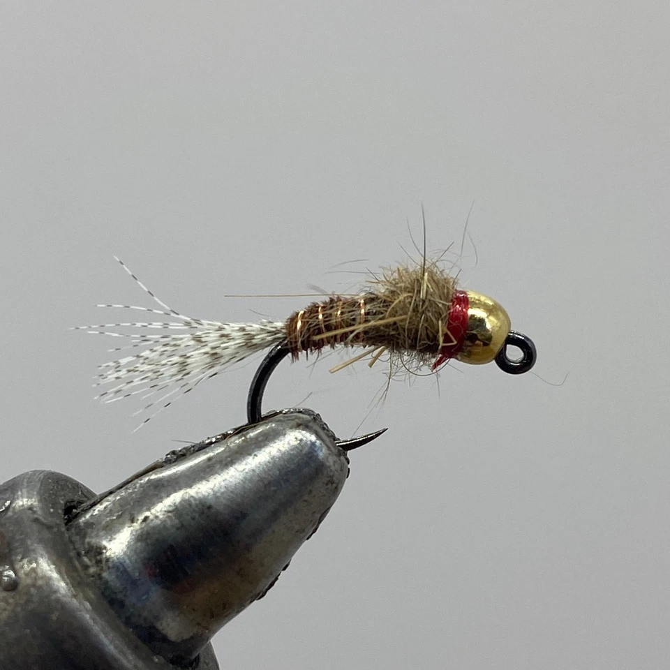 Tungsten Beadhead Jig Frenchie, Fly Fishing Nymph- Strike Fly Company