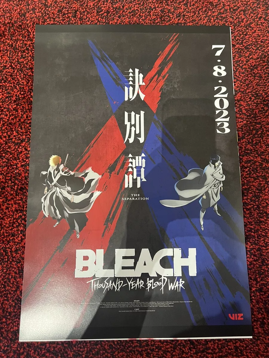 Anime Expo AX 2023 Bleach Thousand-Year Blood War The Separation Promo  Poster