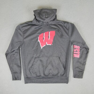 #ad Wisconsin Badgers Hoodie Mens L Gray Football Long Sleeve Drawstring Pullover $19.79