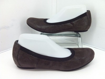 munro american ashlie