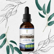 Secrets Of The Tribe Eucalyptus Tincture Alcohol-FREE