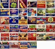 Vintage Crate Label Lot of 50 Different 4,800...