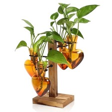 Plants Propagation Stations Plant Terrarium Kit Glass Planters for Indoor Arbor