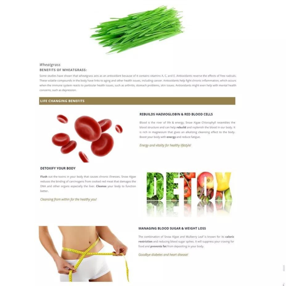 On A Réussi à Rajeunir Des Cellules Souches