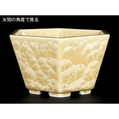 Japanese bonsai pot HEIAN SENZAN Hexagonal shape W13.5cmH8cm