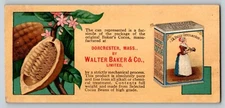 Vintage Ink Blotter Advertisement - Cocoa Beans - Walter Baker & Co Dorchester