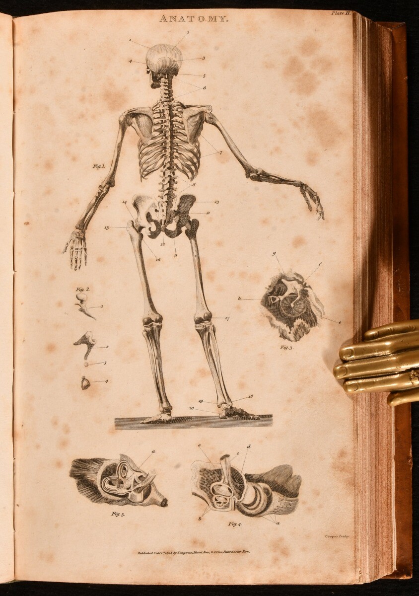 1809 6Vol The British Encyclopedia or Dictionary of Arts and 1809 6Vol The British Encyclopedia or Dictionary of Arts and