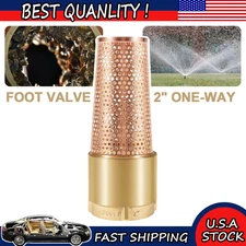 2" NPT One Way Brass Foot Valve with Zebra Mussel Strainer for Irrigation Pumps