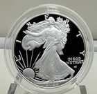 2022 W American Silver Eagle Gem Proof In Plastic Holder No Box