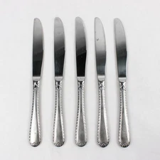 Lot Of 5 Hampton Silversmiths Rachelle-Frost (Stainless) Solid Dinner Knives