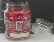 5oz Carnation Scented Jar Candle by New England Candle Company - NEW E116