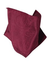 BURGUNDY PAISLEY DESIGN Hankerchief Pocket Square Hanky Mens Handkerchiefs