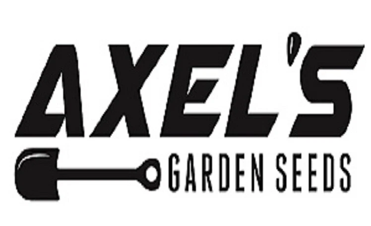 Cápsula de azúcar derretido de mamut guisante de nieve | sin OGM | reliquia | semillas de verduras frescas Foto 4 de 4