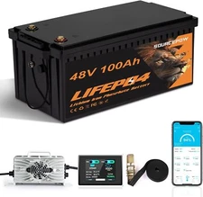 48V100Ah Lithium LiFePO4 Golf Cart Battery, 200A BMS,Touch Monitor & 18A Charger