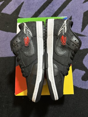 nike sb x wasted youth