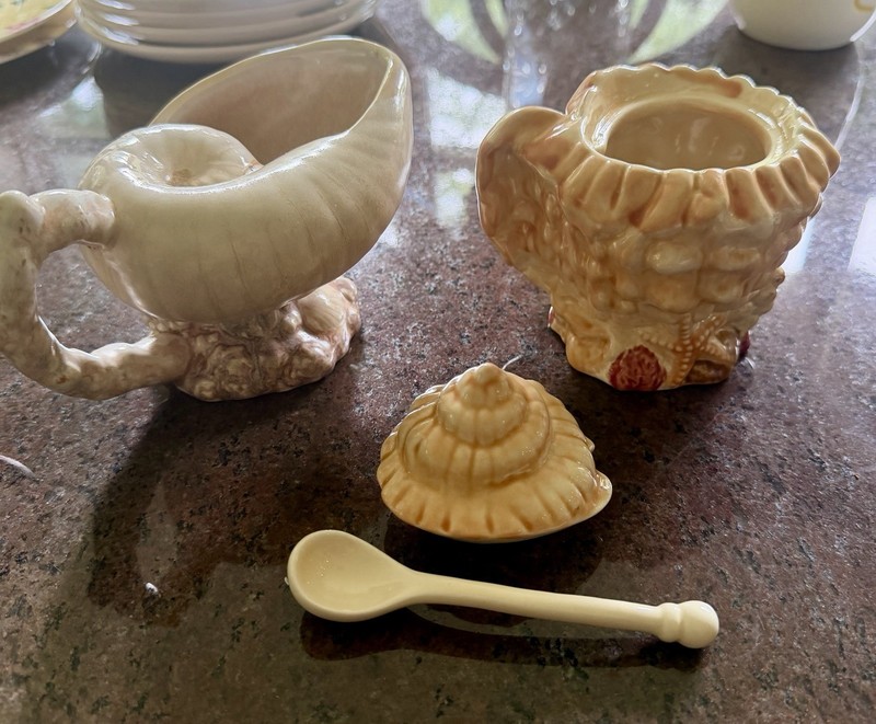 Pacific Rim Cream And Sugar Shell Design Awesome For Summer