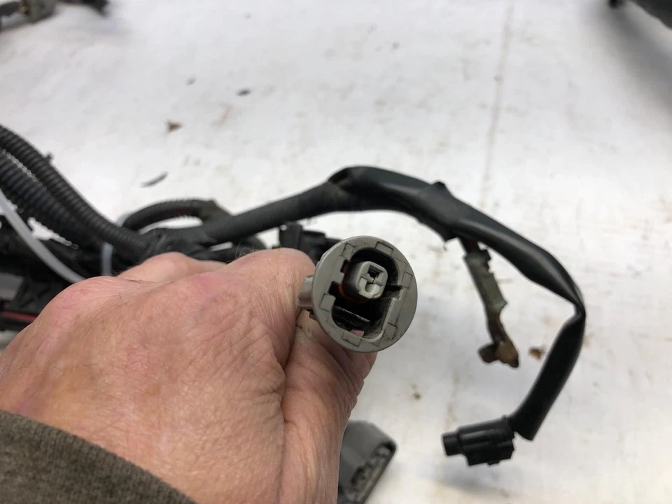 2006 Scion xB Engine Wiring Harness 1.5L I-4 Auto Trans FWD California **Note** - Image 3 of 4