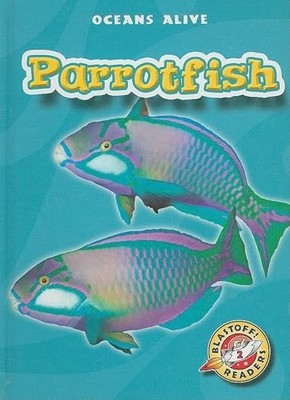 Parrotfish (Oceans Alive), Rustad, Martha E H