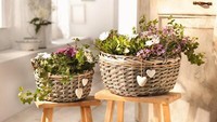 "Pflanzkorb Weide Grau \"Herzen\" 2X Blumen Pflanz Korb Topf Schale Hochzeits Deko"