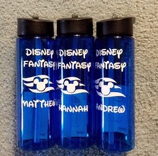 Disney Cruise Line or Disney world Or Disneyland Customized Water bottles