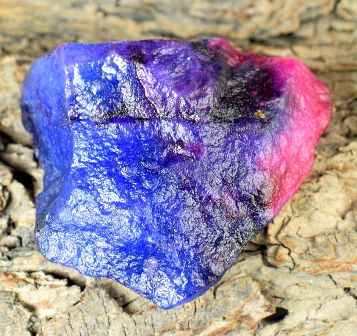 342.70 Ct Natural Bi- Color Sapphire Gemstone Specimen Rough