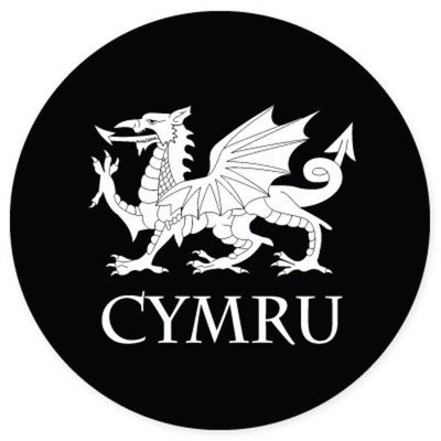 Autoaufkleber Cymru Welsh Wales Drache Wappen Land Rund L1243 Sticker-12cm
