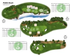 DICE NUTZ PRO GOLF Board Game w/ 3 Famous Courses & Lady Golf Legends Card Set 