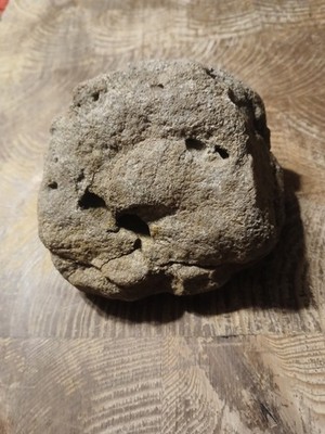 Native Paleo Artifact