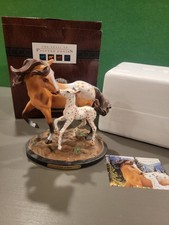 Trail of the Painted Ponies  A Star is Born  1E/0625 Item  4043946