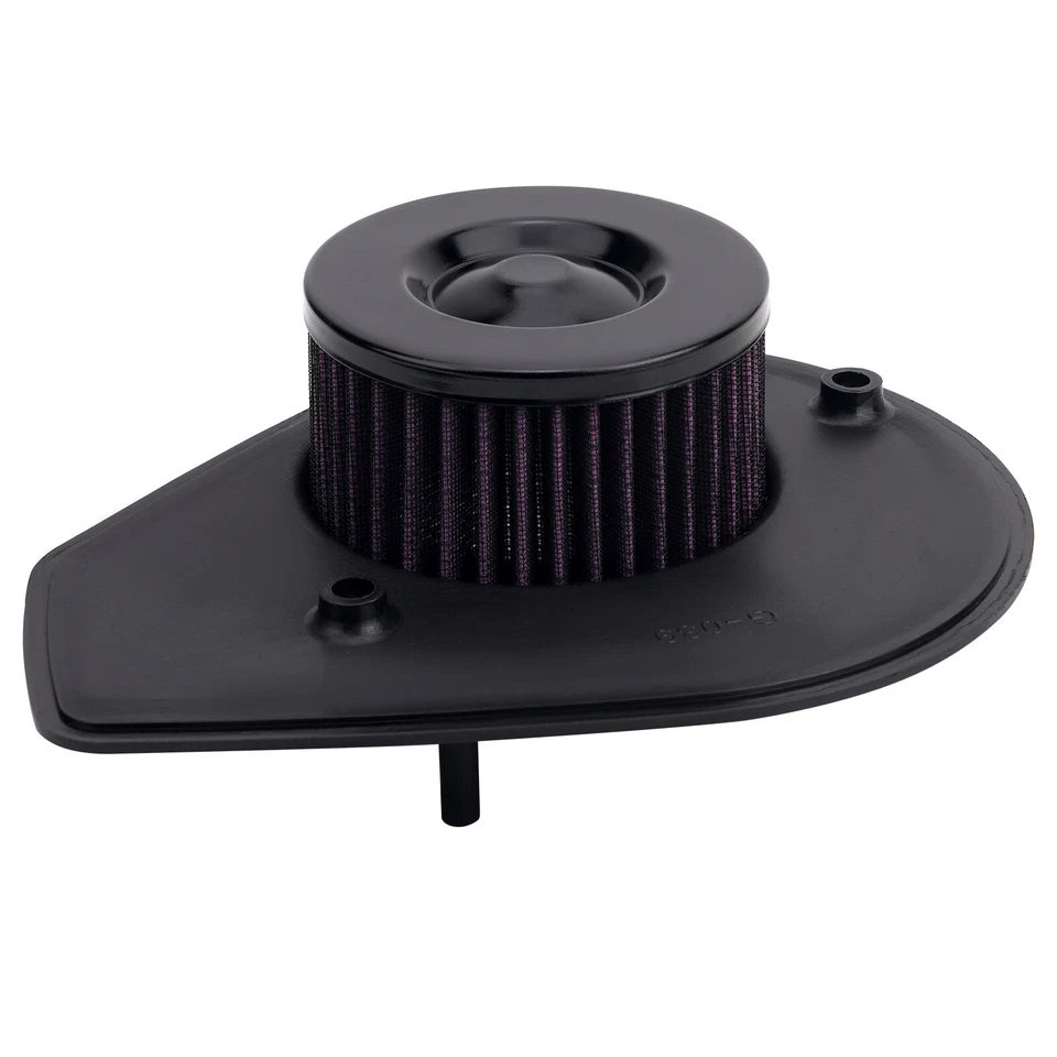 Limpiador de admisión de filtro de aire para Harley Street 500 Street 750 XG500 XG750 2015-2020 Foto 2 de 4