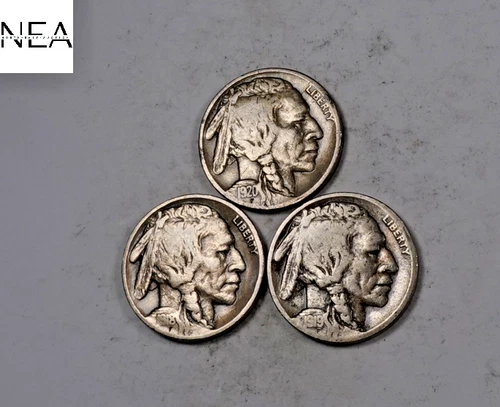 1918+1919+1920 Buffalo Nickel Set/Lot ~ Very Fine VF ~ Better Dates! ~ ZBL62