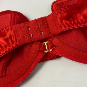 Agent Provocateur Jena Red Bra 32C New