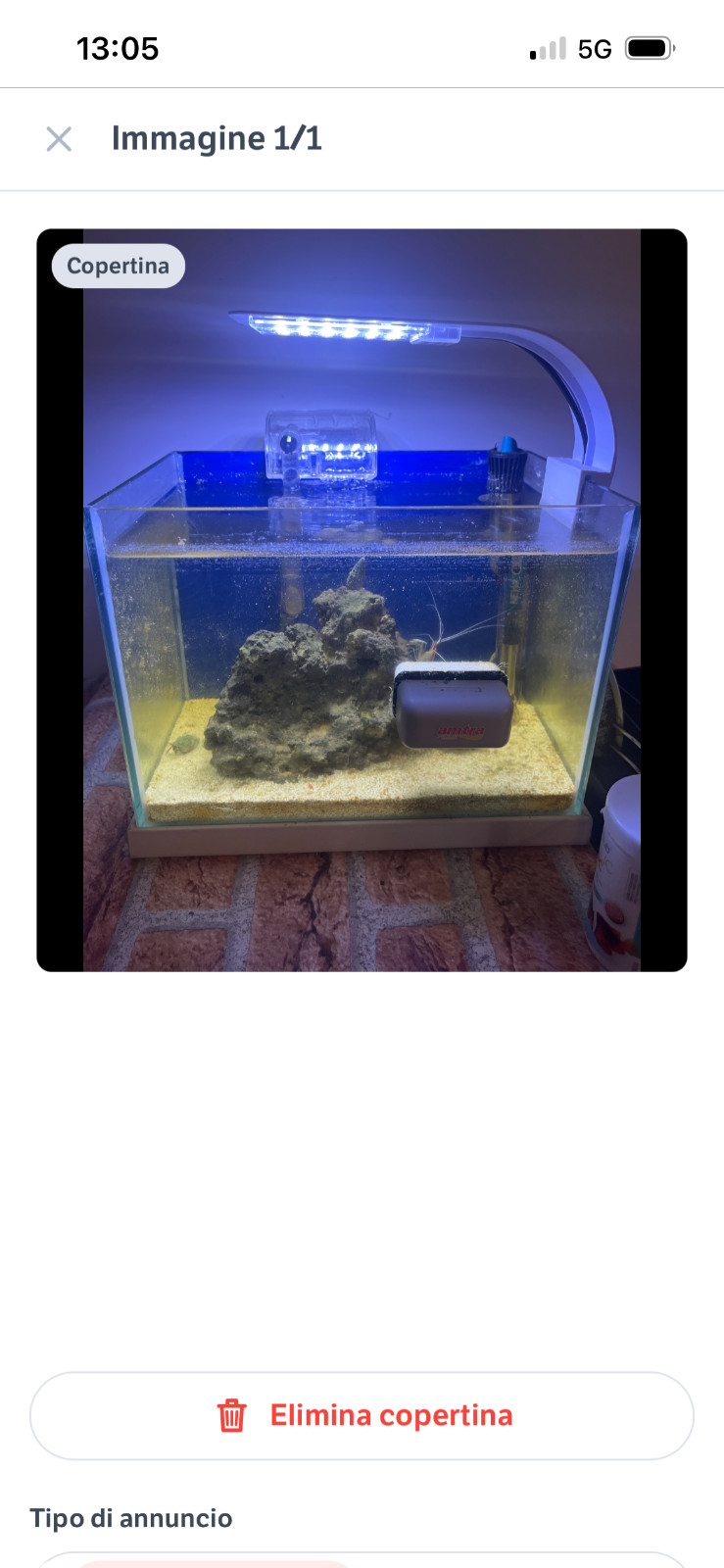 acquario