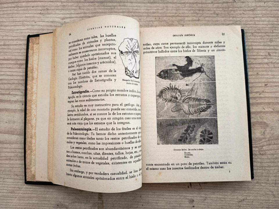 Ciencias Naturales - Segundo Curso - Juan Zamora Ros - Imagen 4 de 4