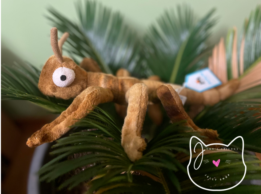 Jellycat STANLEY STICK Insect Bug New BNWT RETIRED Soft Plush Toy