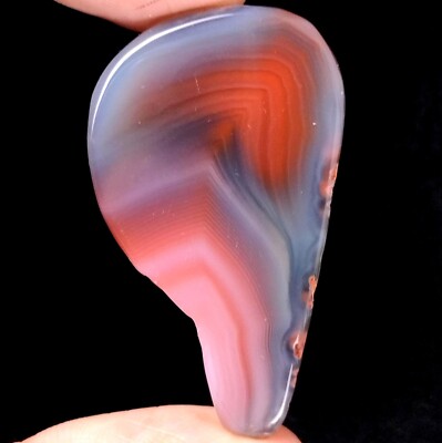 60.00 Ct Natural Rare Botswana Agate Fancy Slice Flat Gemstone Crystal Specimen