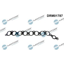 1x ORIGINAL® Dr.Motor Automotive Dichtung, Ansaugkrümmer für Toyota RAV 4 II