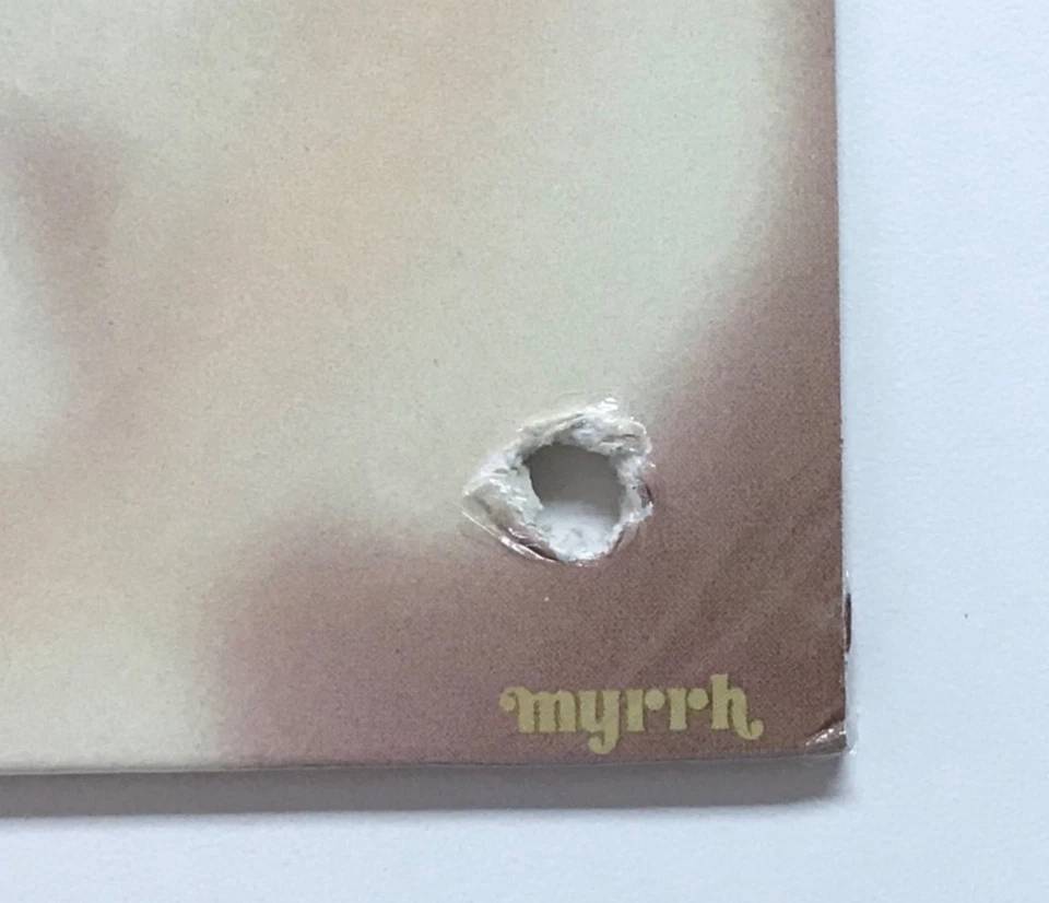 NUTSHELL: Believe it or Not  (Vinyl LP Record Sealed) King Crimson Roxy Music - Image 3 of 3