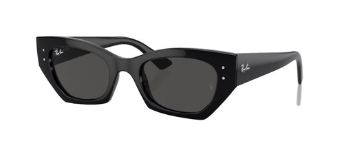 Ray-Ban Erika RB4171 Sunglasses Women display picture 3
