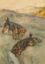 LAKELAND TERRIER DOG GREETING CARD DOG NOTE CARD