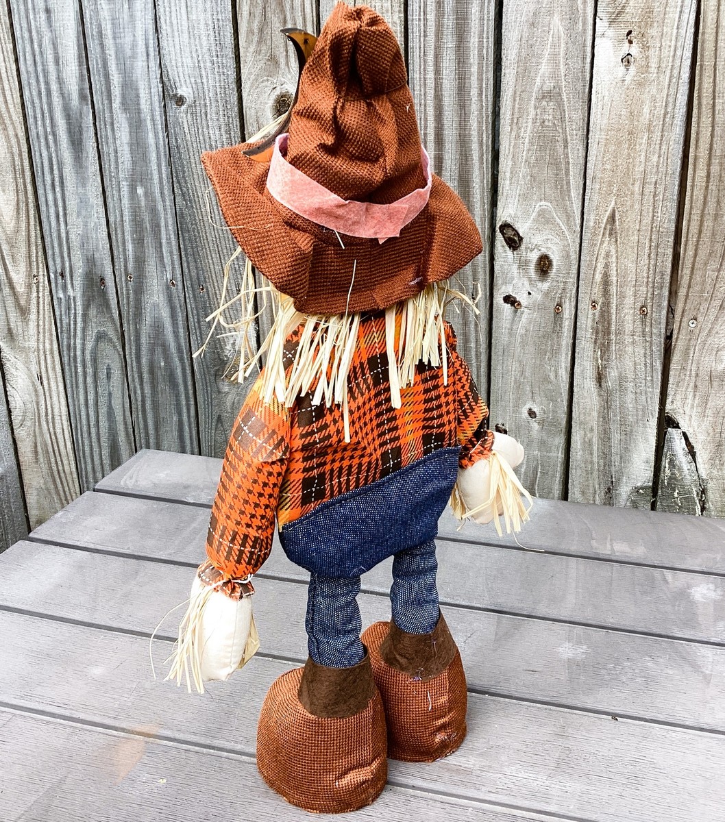AGD Fall Decor - If I Only Had A Brain Standing Scarecrow | eBay